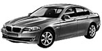 BMW F10 C1025 Fault Code